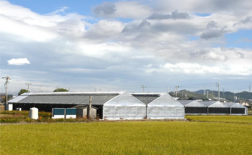 提携農場（有）グリーンファーム