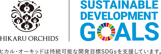 ヒカル・オーキッドは持続可能な開発目標SDGsを支援しています。